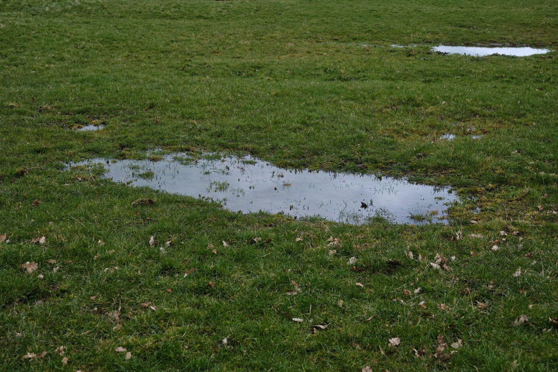 Leak Detection in Phoenix AZ